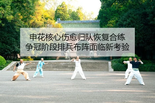 申花核心伤愈归队恢复合练 争冠阶段排兵布阵面临新考验