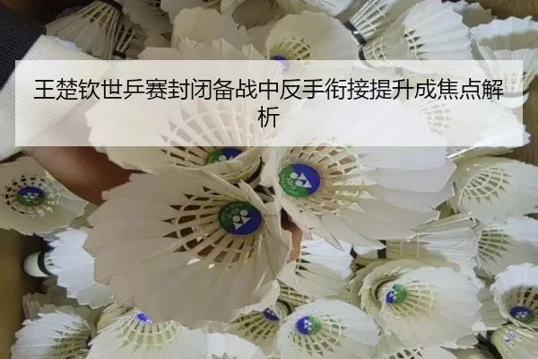 王楚钦世乒赛封闭备战中反手衔接提升成焦点解析